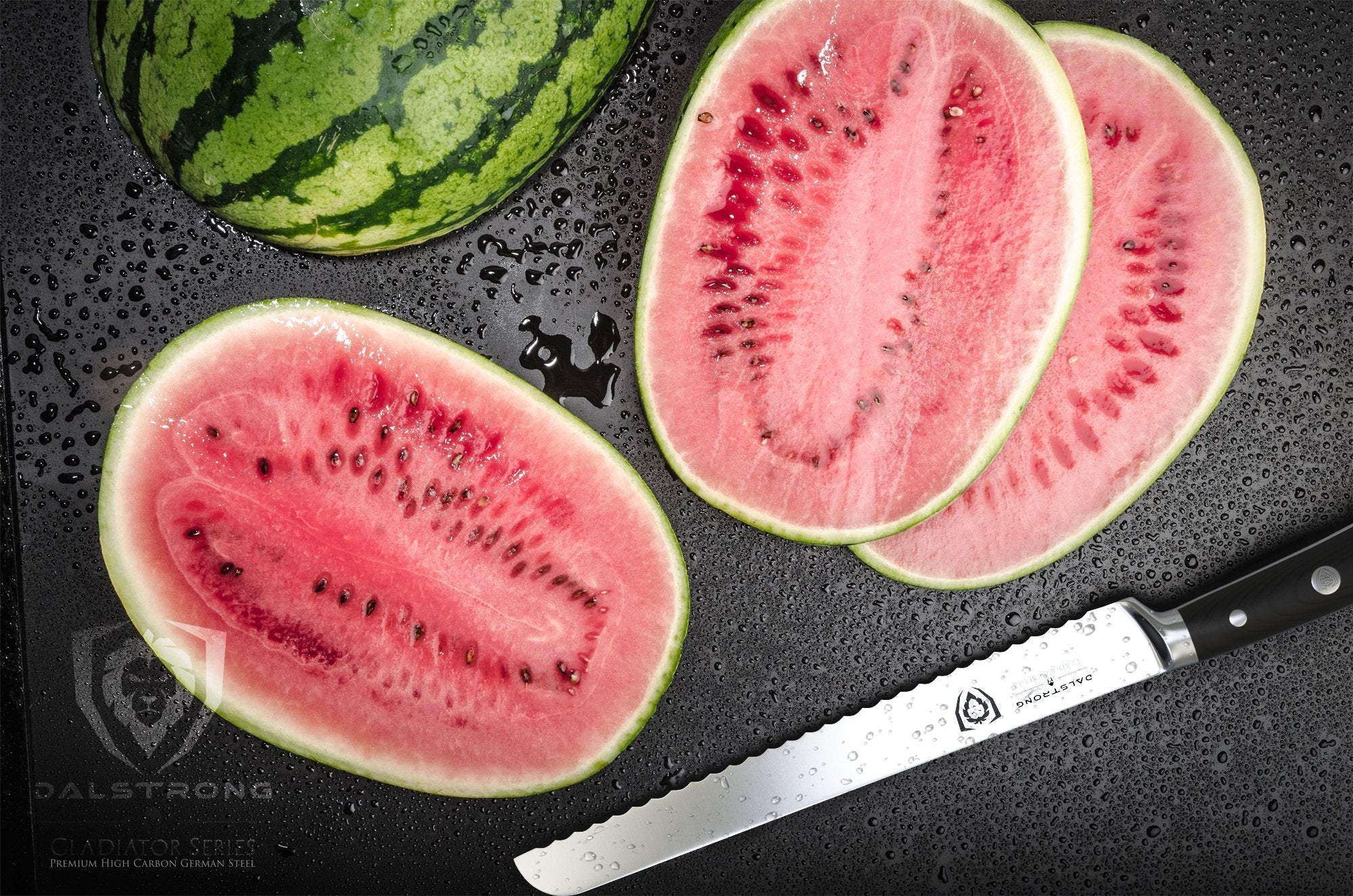 Dalstrong 10" Serrated Bread Knife | Zigeze