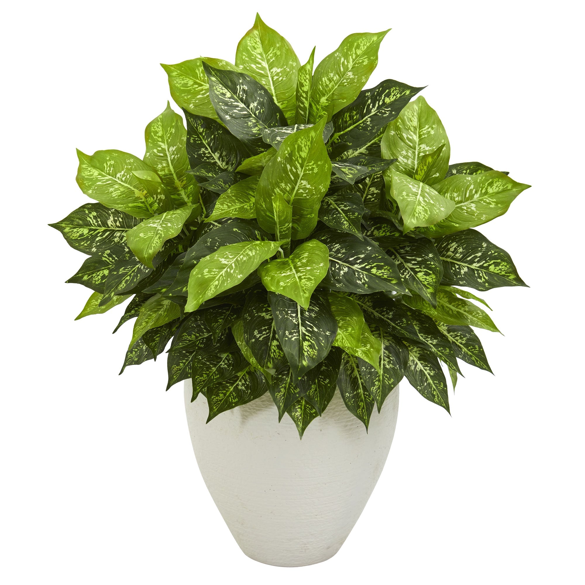 Dieffenbachia Artificial Plant in White Planter | Zigeze