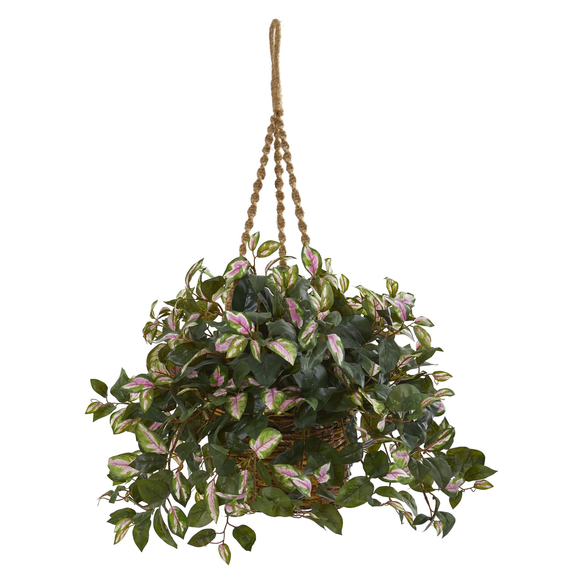 Hoya Artificial Plant in a Hanging Basket | Zigeze