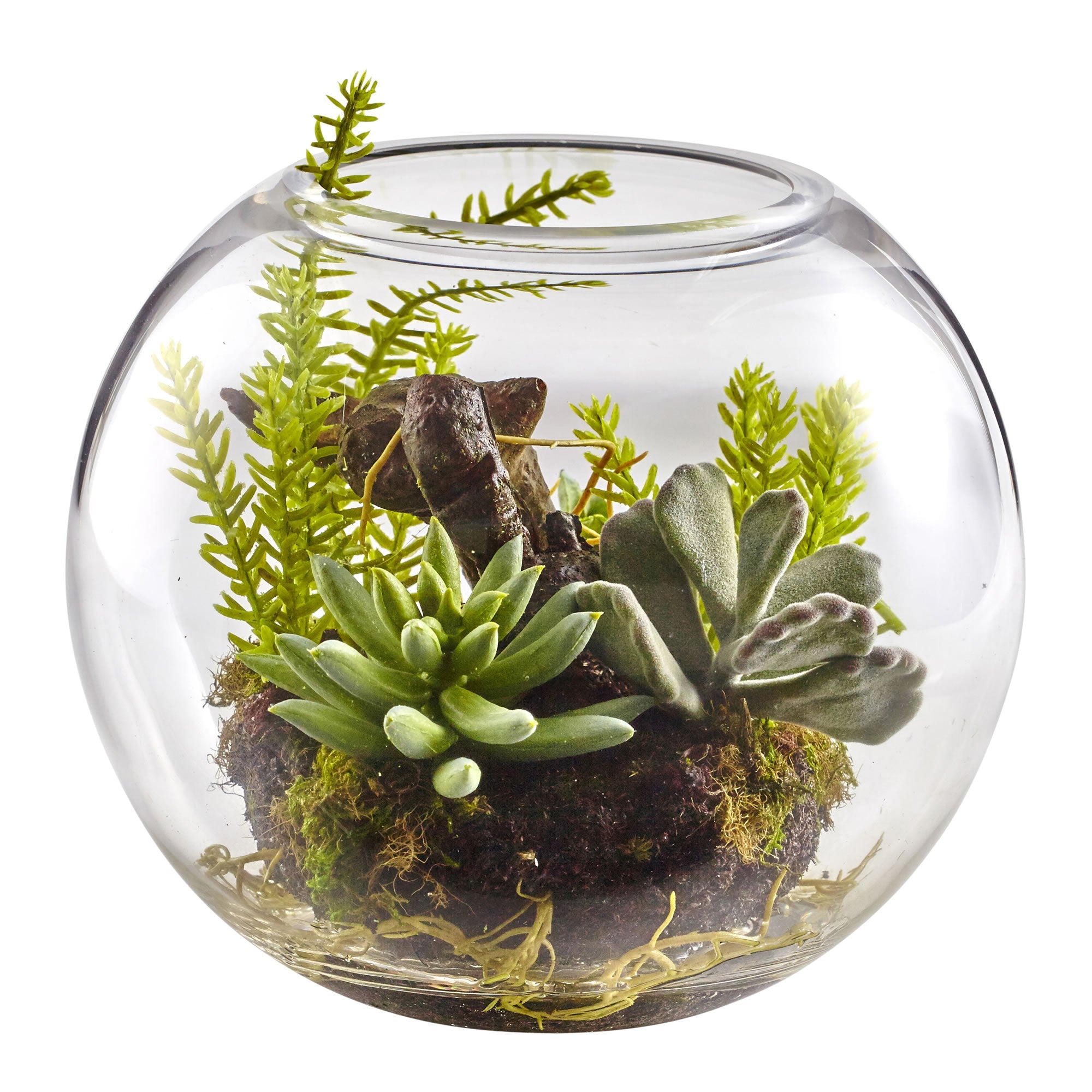 Mixed Artificial Succulent Garden with Glass Vase | Zigeze