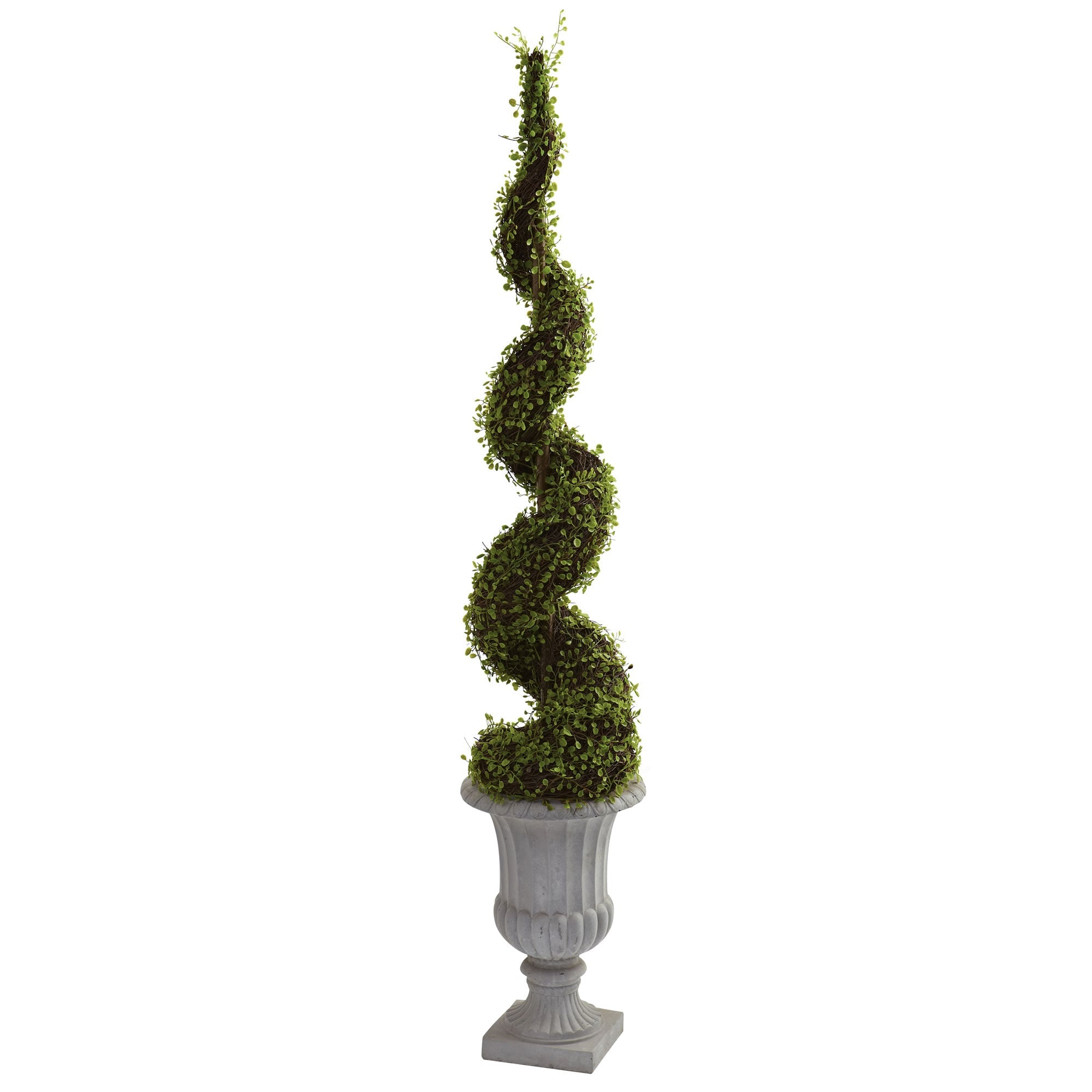 Mohlenbechia Spiral Tree with Decorative Urn | Zigeze