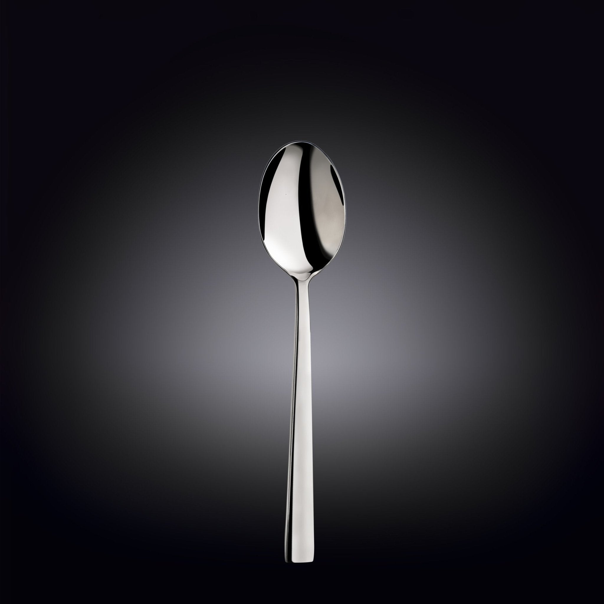 Set of 24 High Polish Stainless Steel Dinner Spoons | Zigeze