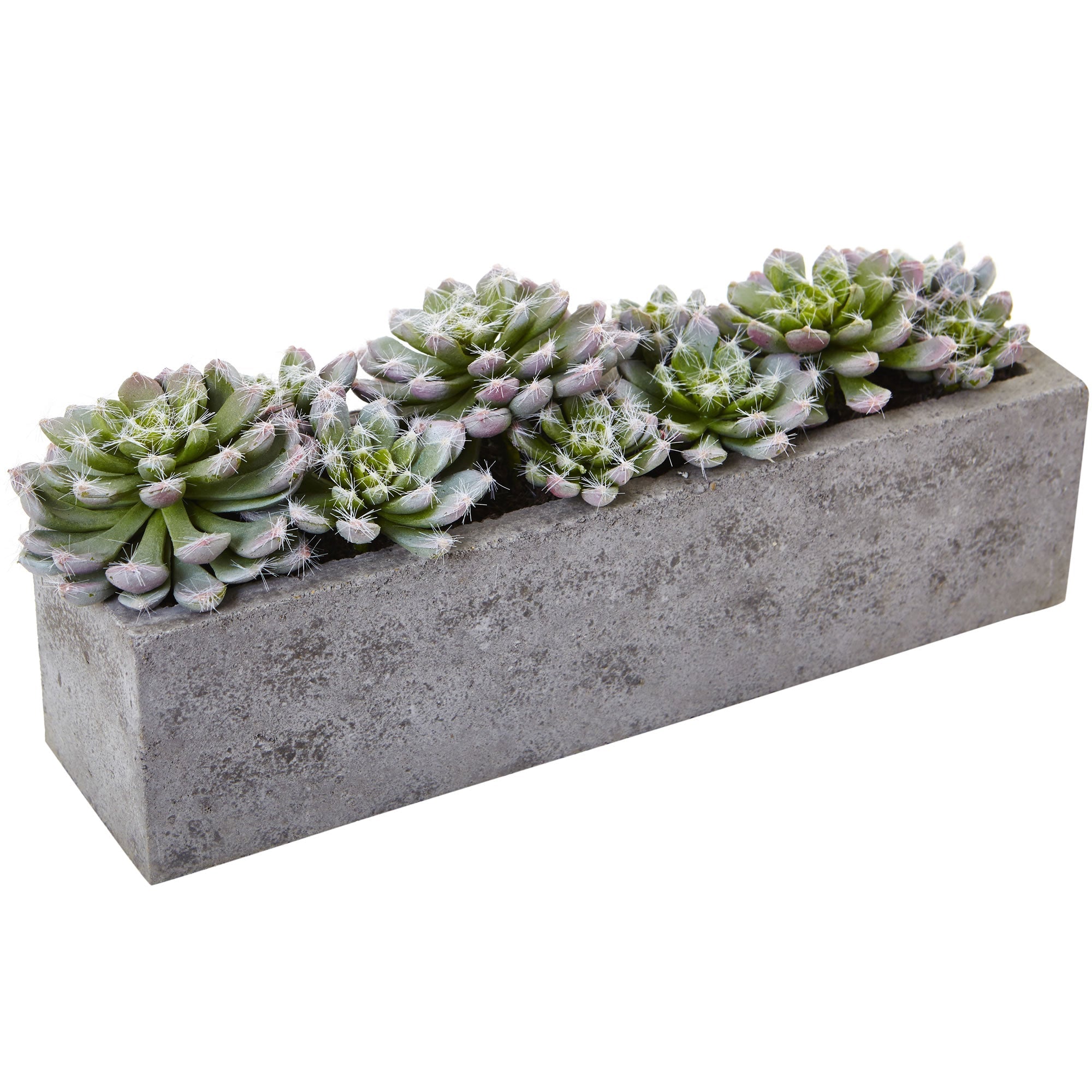 Succulent Garden with Textured Concrete Planter | Zigeze