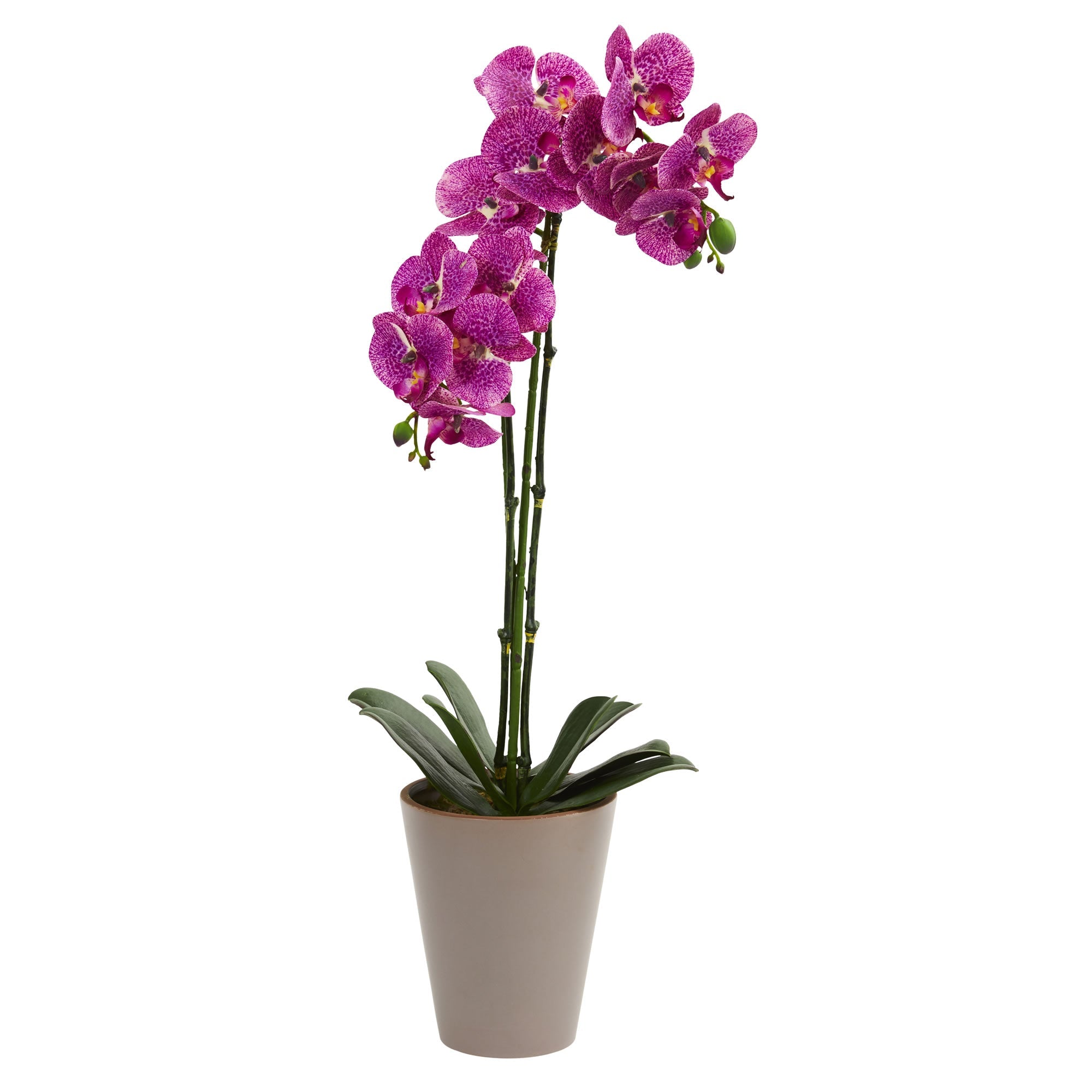 24" Speckled Phalaenopsis Orchid Artificial Arrangement | Zigeze