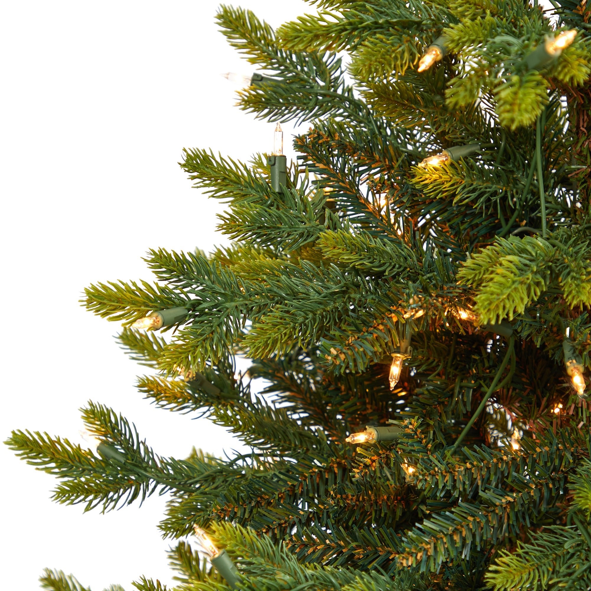 3' North Carolina Fir with 150 Clear Lights and 563 Branches | Zigeze
