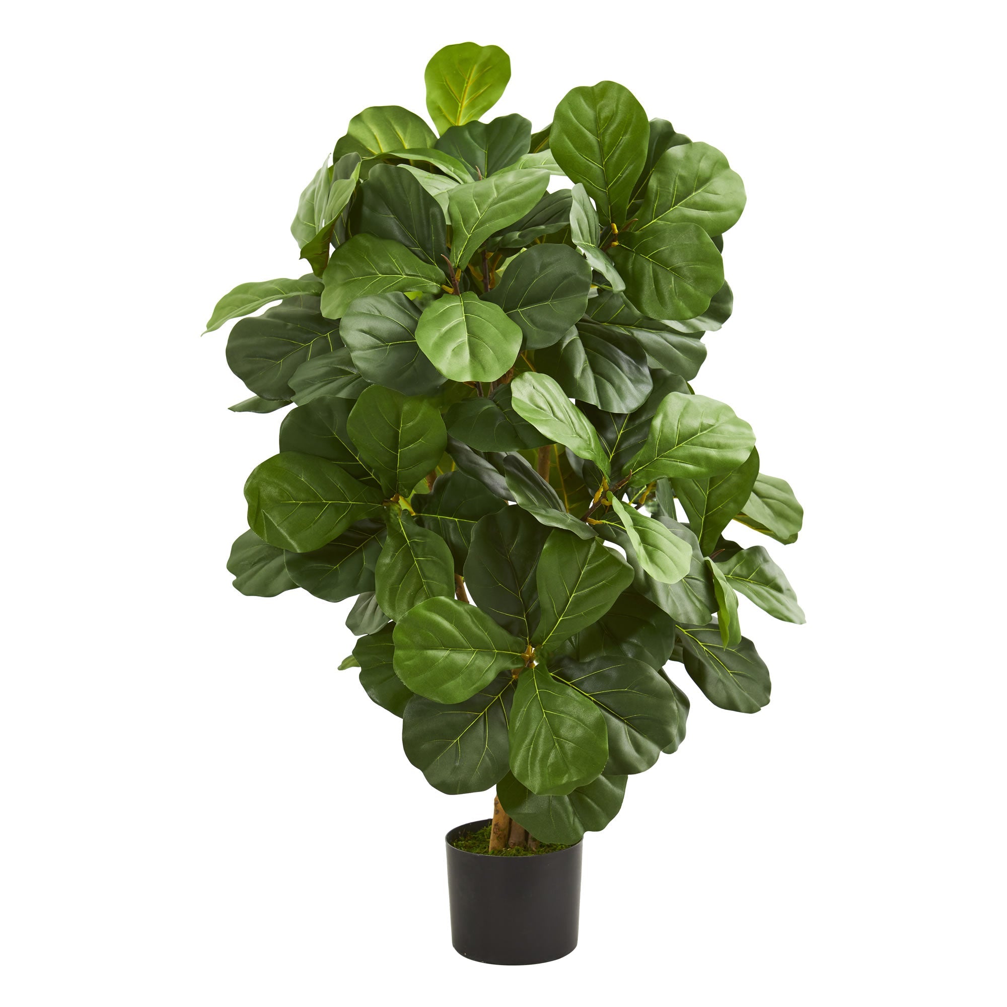 3.5' Artificial Fiddle Leaf Silk Tree with Natural Look | Zigeze
