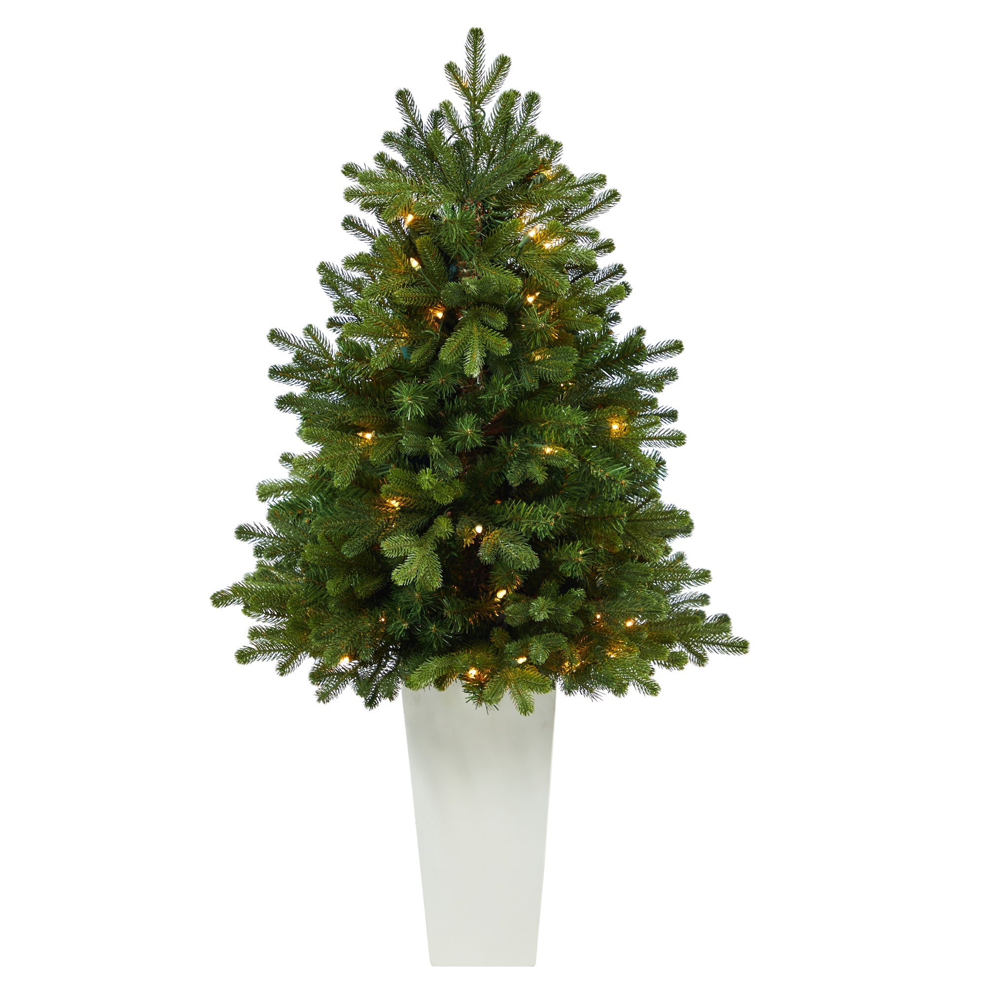 3.5' Washington Fir with 50 Clear Lights in Tower Planter | Zigeze