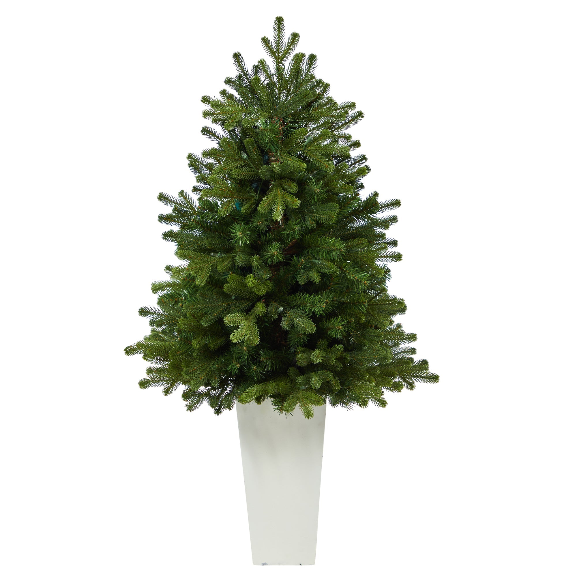 3.5' Washington Fir with 50 Clear Lights in Tower Planter | Zigeze