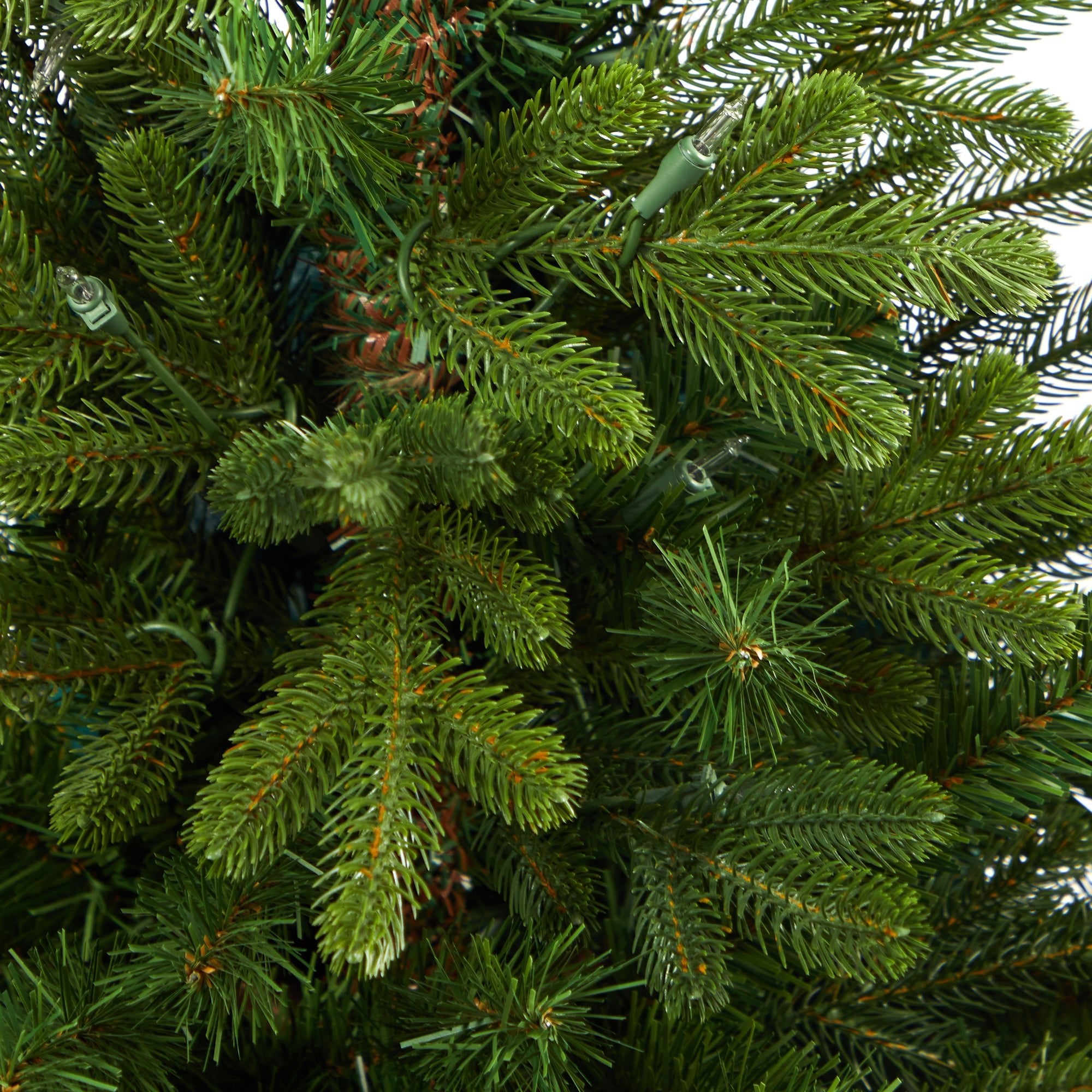 3.5' Washington Fir with 50 Clear Lights in Tower Planter | Zigeze