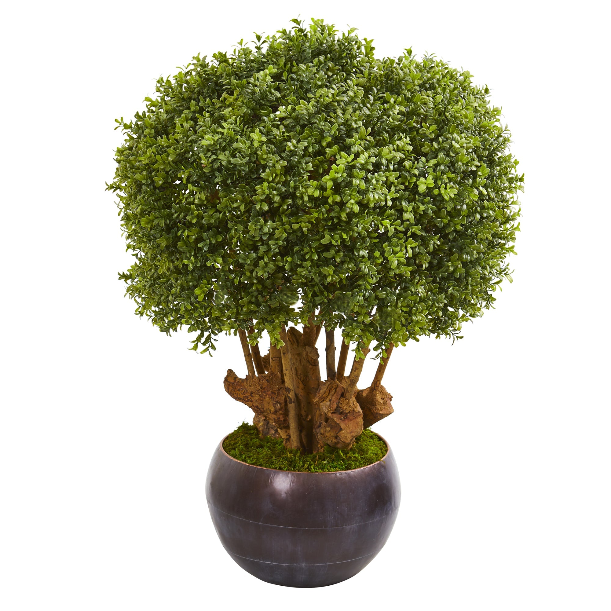 38" Boxwood Artificial Topiary in Decorative Bowl | Zigeze
