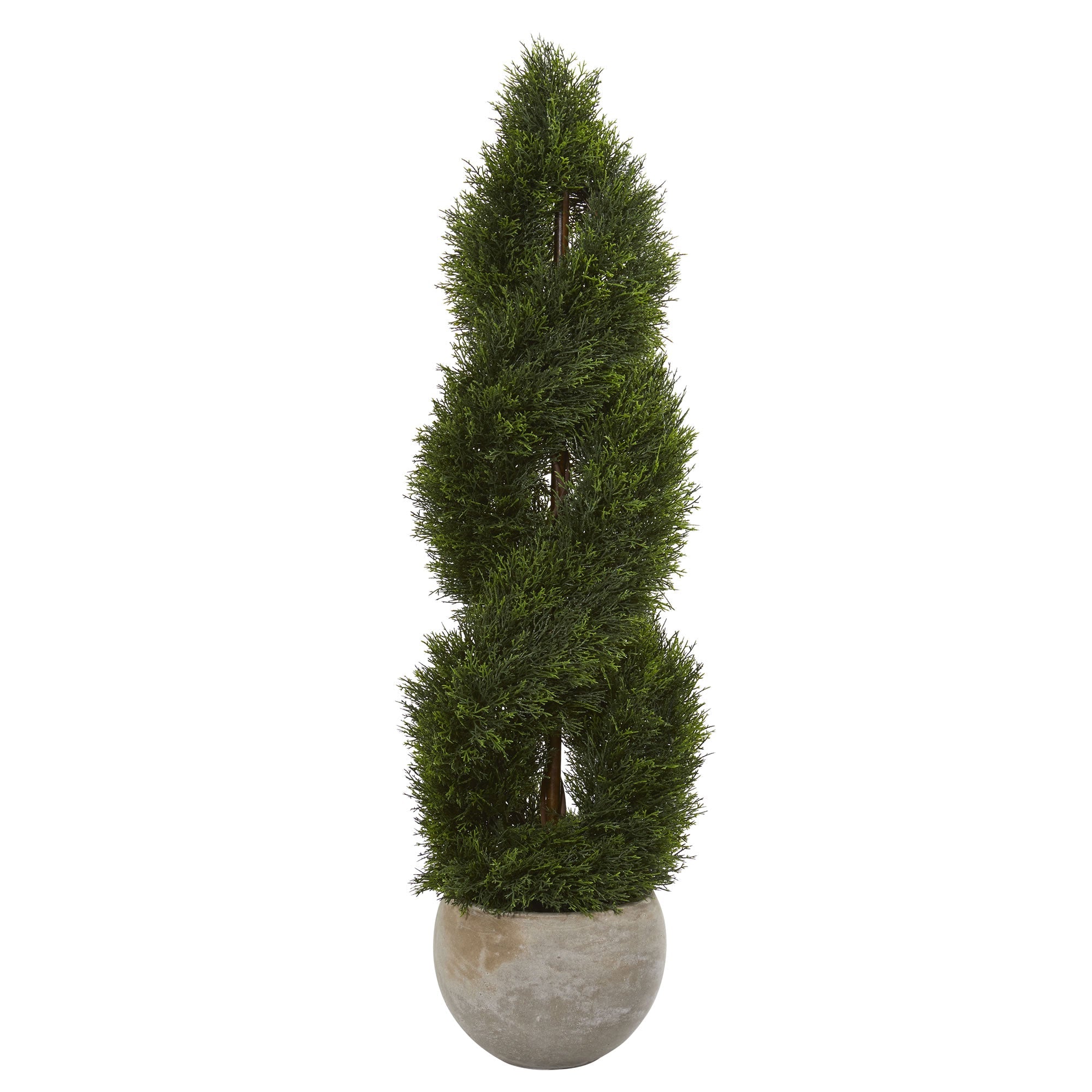 4' Double Pond Cypress Spiral in Sand Colored Planter | Zigeze