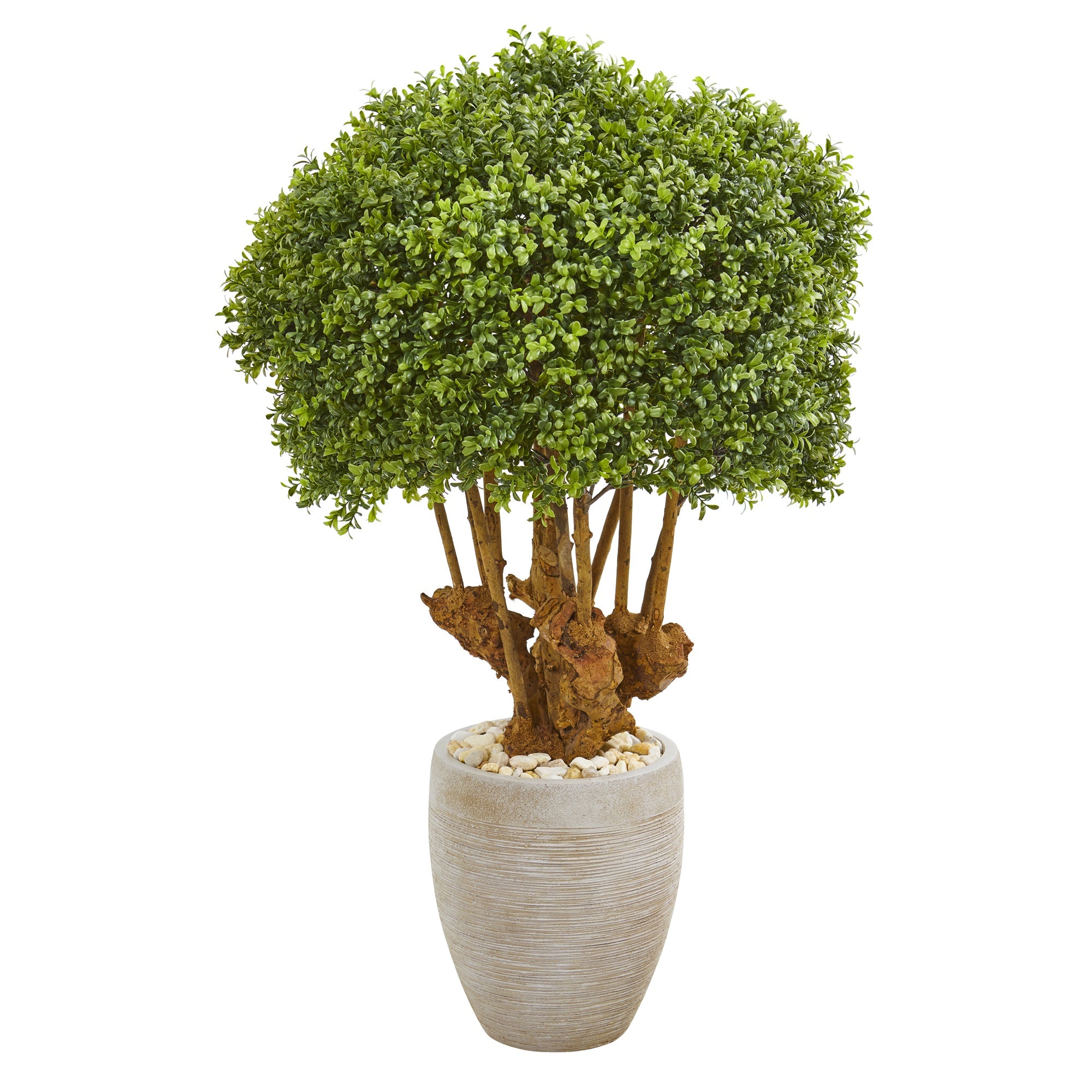 41" Boxwood Artificial Topiary in Sandstone Planter | Zigeze