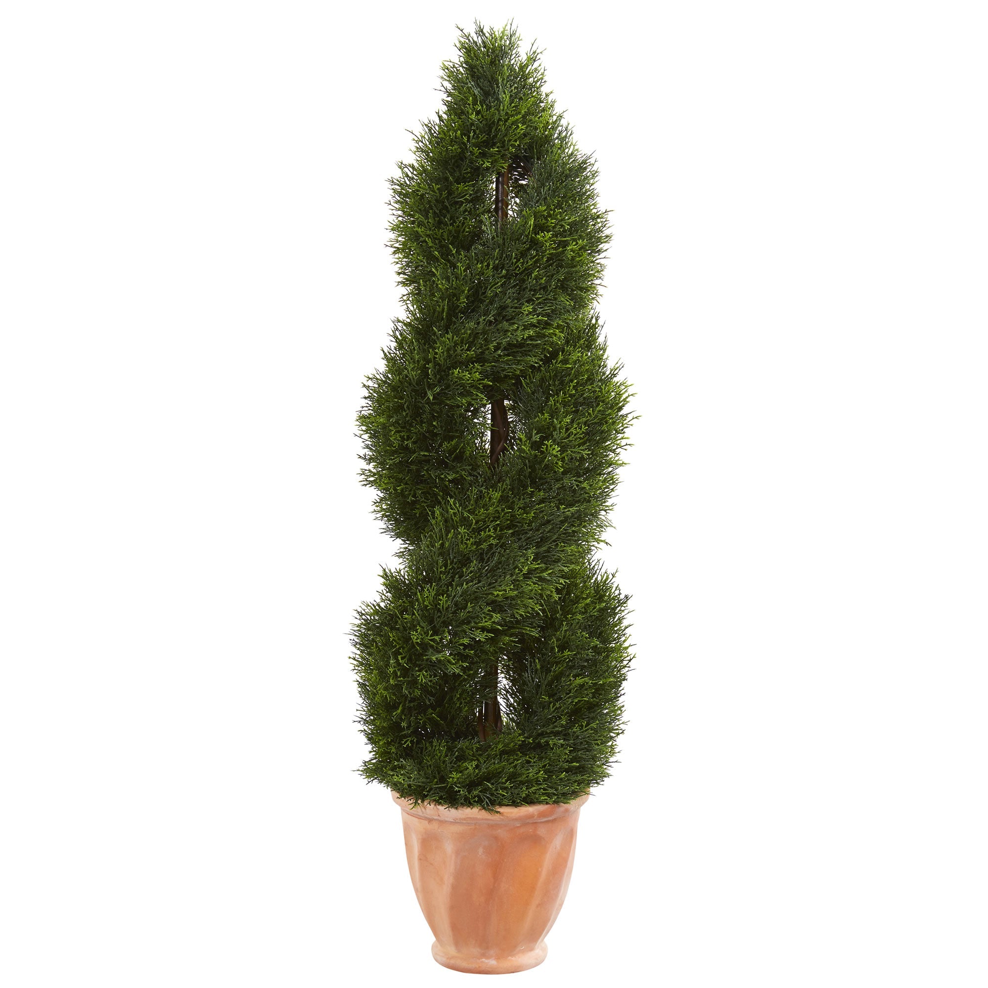 4.5' Double Pond Cypress Topiary in Terracotta Planter | Zigeze