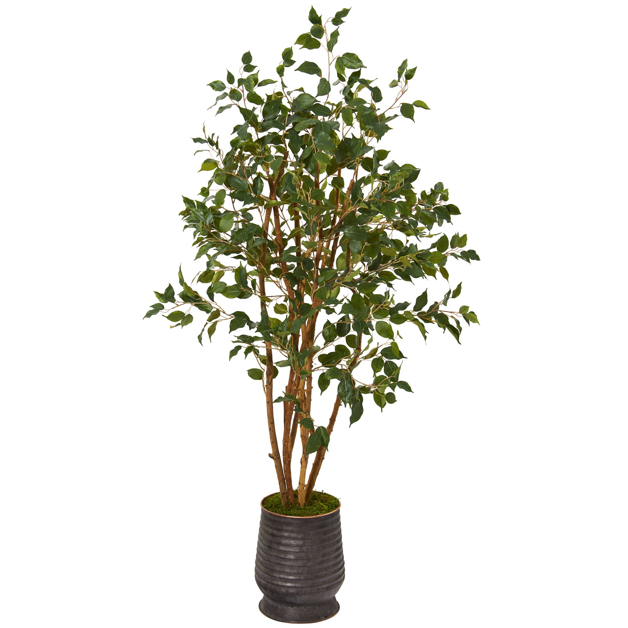 4.5' Ficus Artificial Tree in Ribbed Metal Planter | Zigeze