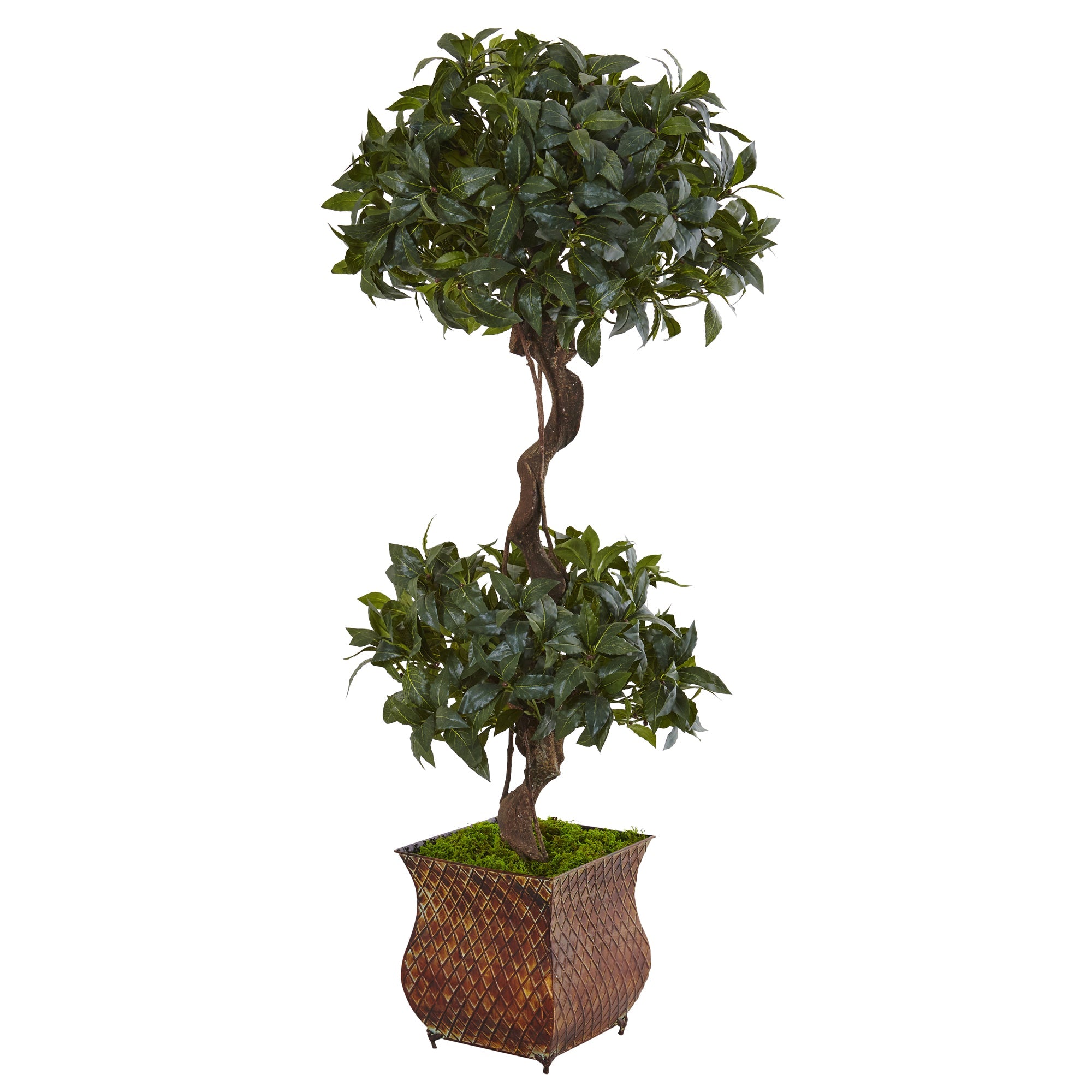 4.5' Sweet Bay Double Topiary Tree in Metal Planter | Zigeze