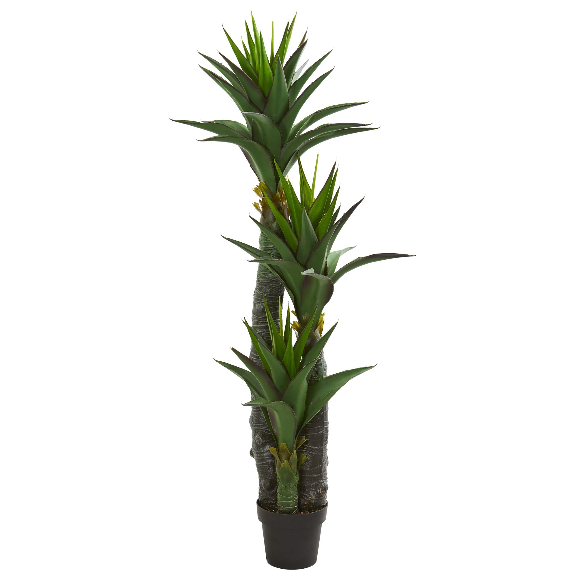 5' Decorative Yucca Artificial Tree in Black Planter | Zigeze