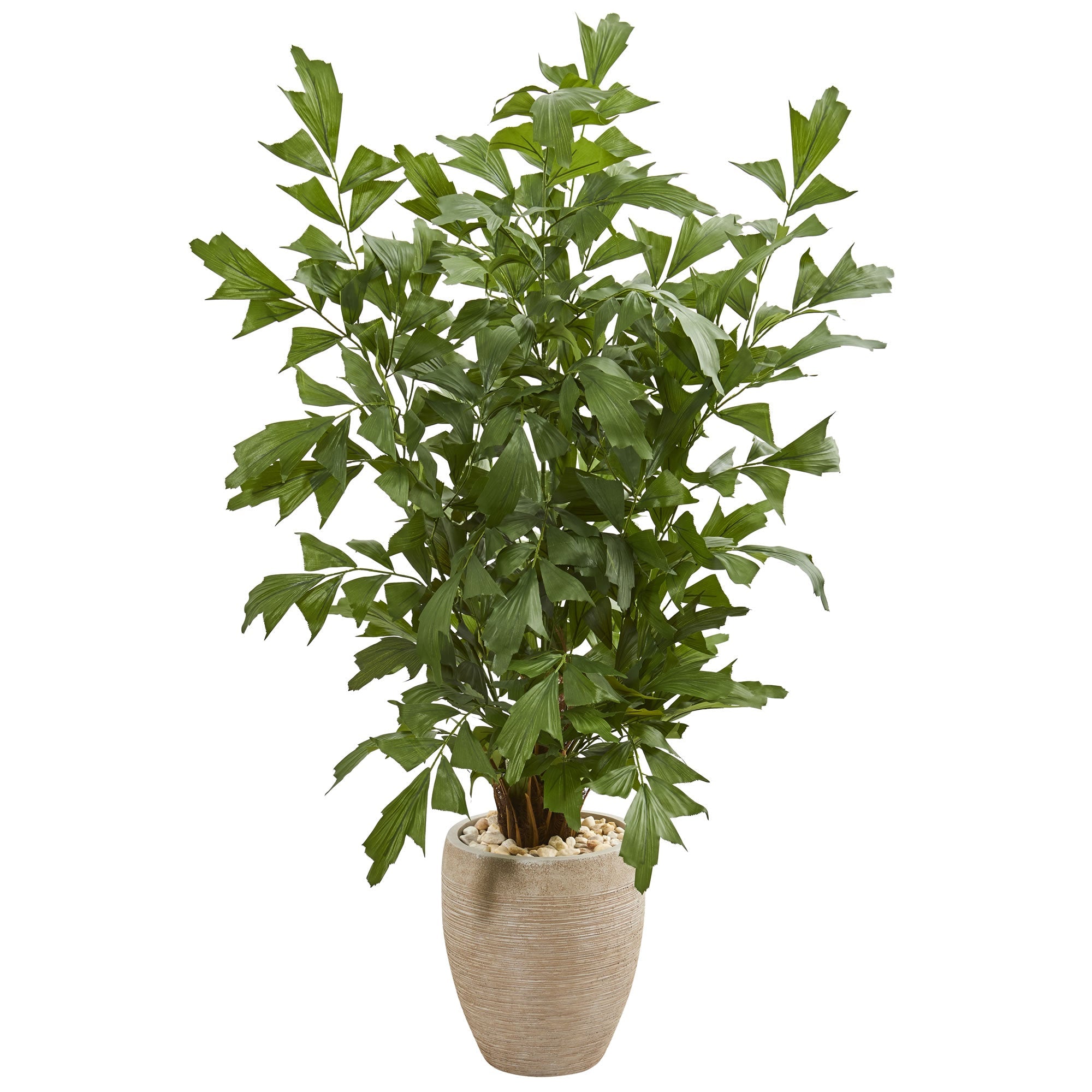 5' Fishtail Palm Artificial Tree in Sand Colored Planter | Zigeze