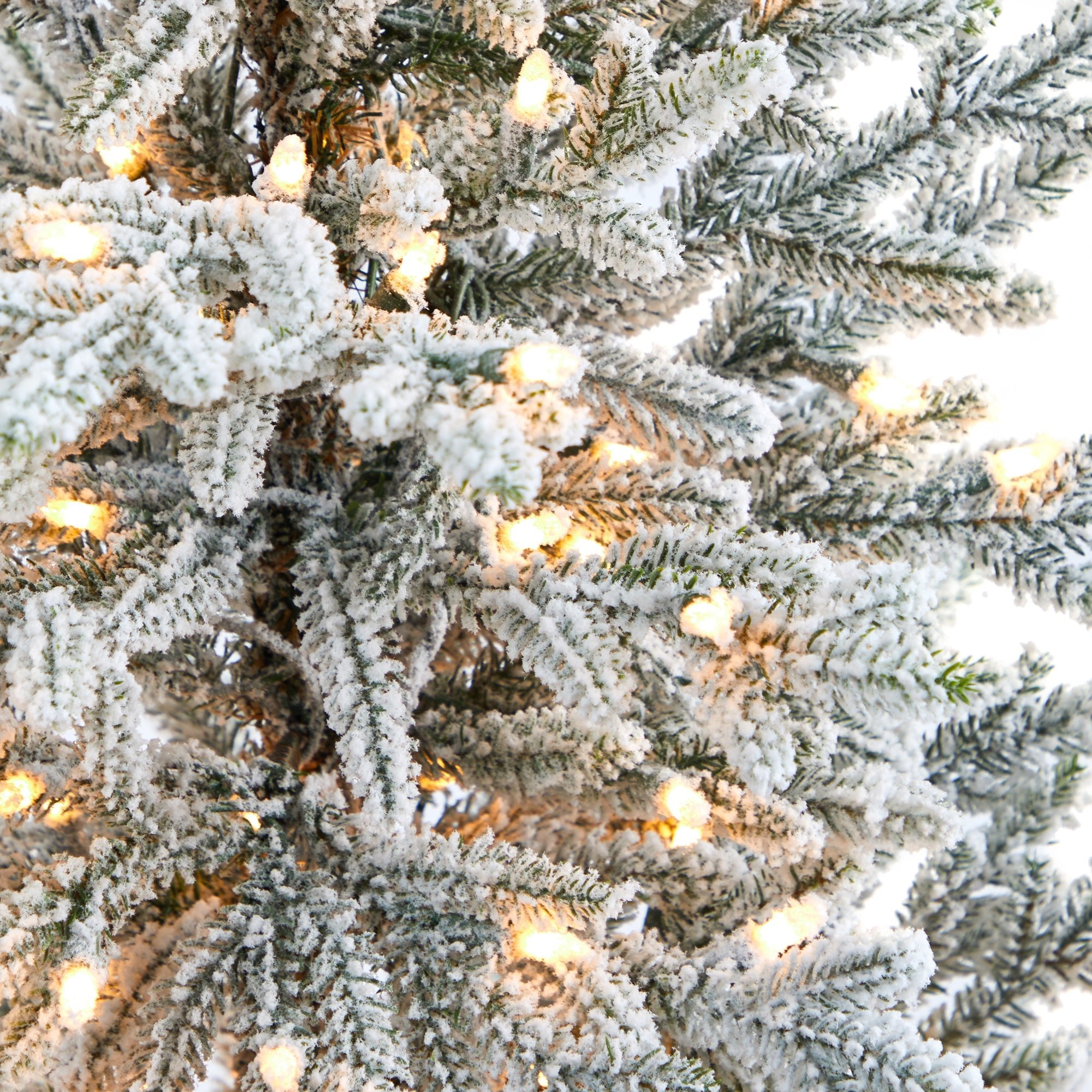 5' Flocked Fraser Fir with 300 Lights and 967 Branches in Gray Planter | Zigeze