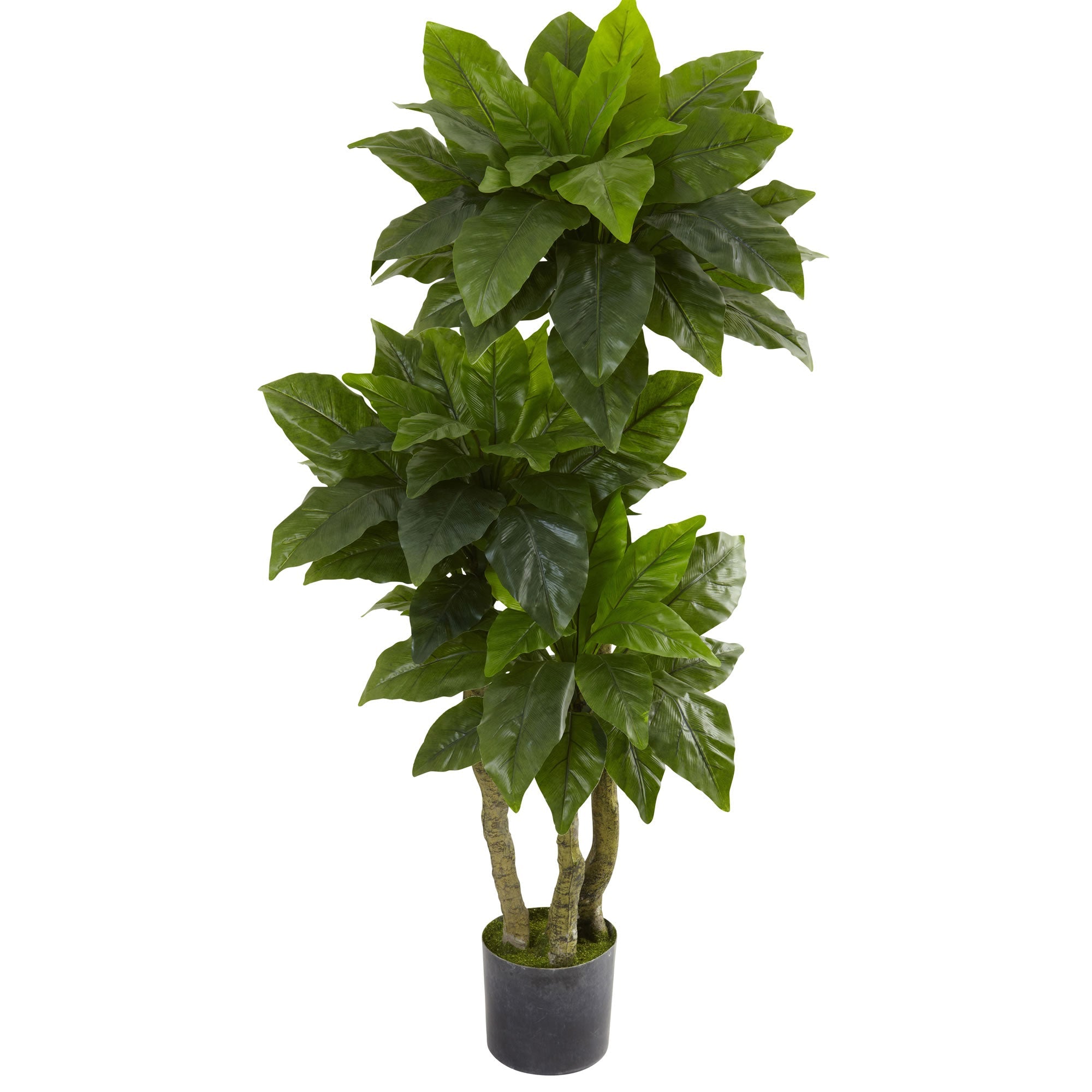 5 - Foot Artificial Bird Nest Fern Indoor/Outdoor Tree | Zigeze