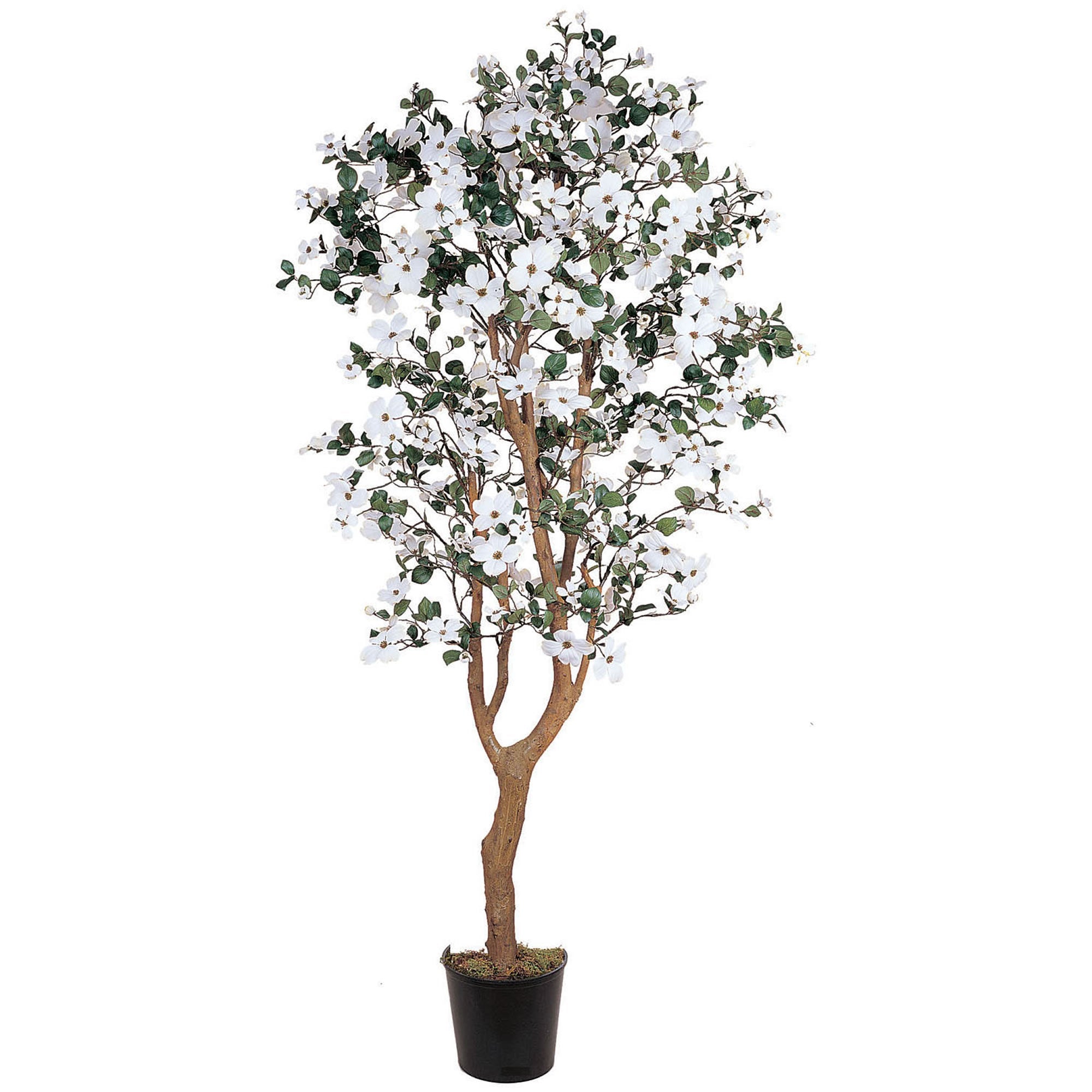 5 - Foot Dogwood Silk Tree with 285 Flowers and 1,140 Leaaves | Zigeze