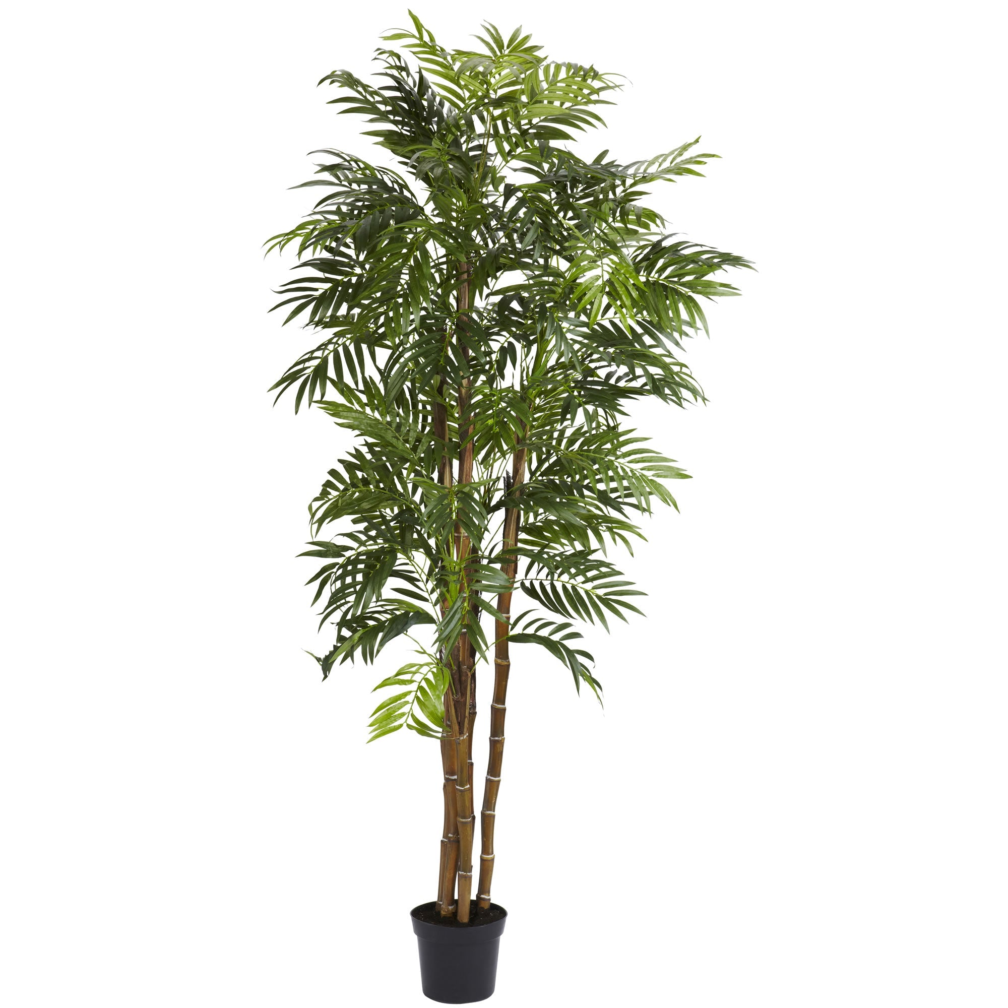 6 - Foot Artificial Bella Palm Silk Tree with 1,496 Leaves | Zigeze