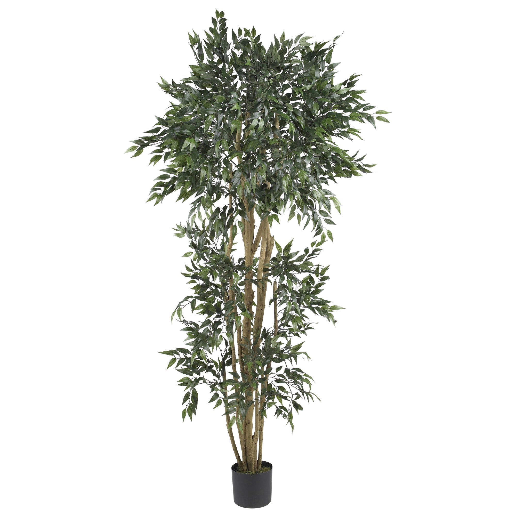 6 - Foot Artificial Green Ash Silk Tree with Interwined Trunks | Zigeze