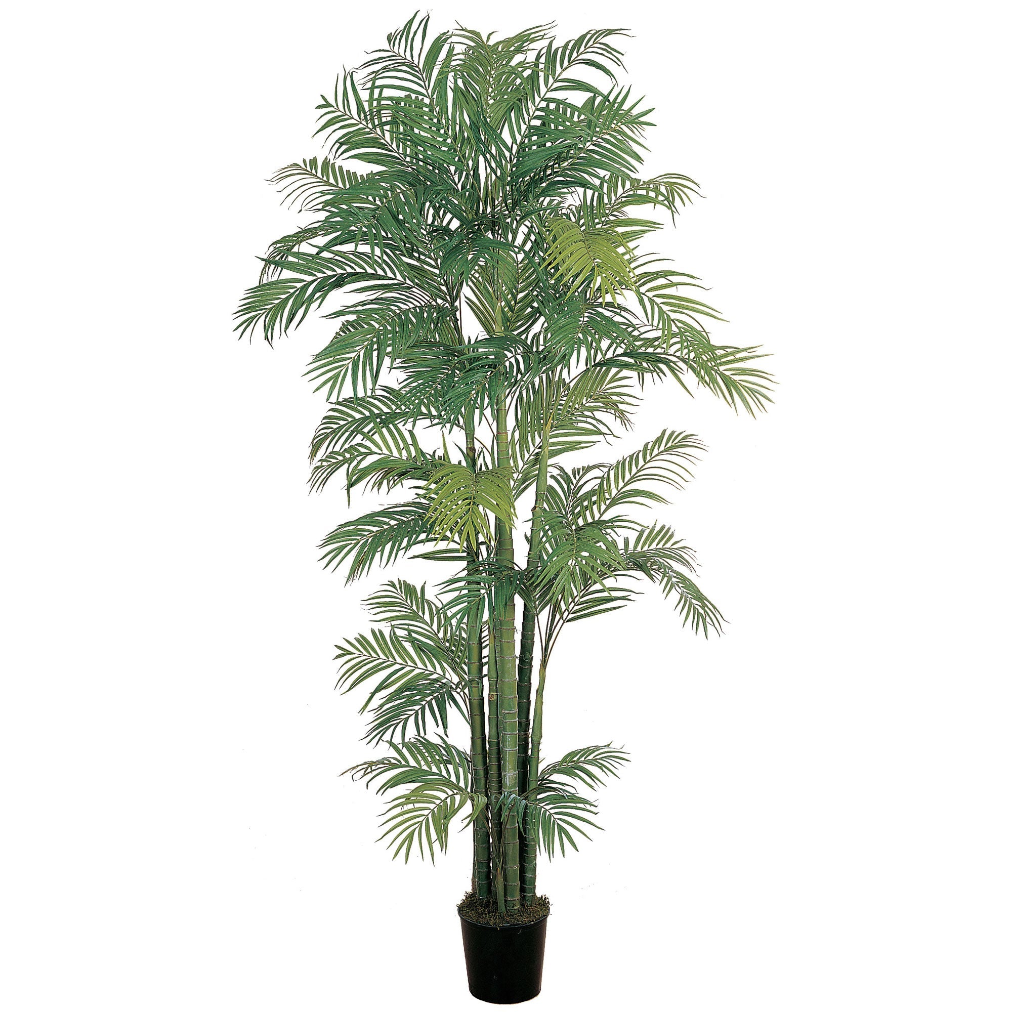 7 - Foot Artificial Areca Silk Palm Tree with 1,816 leaves | Zigeze