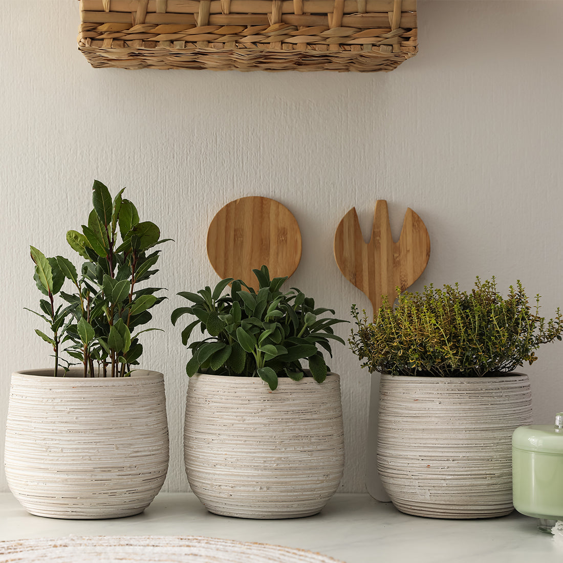 Planters and Plant Stands