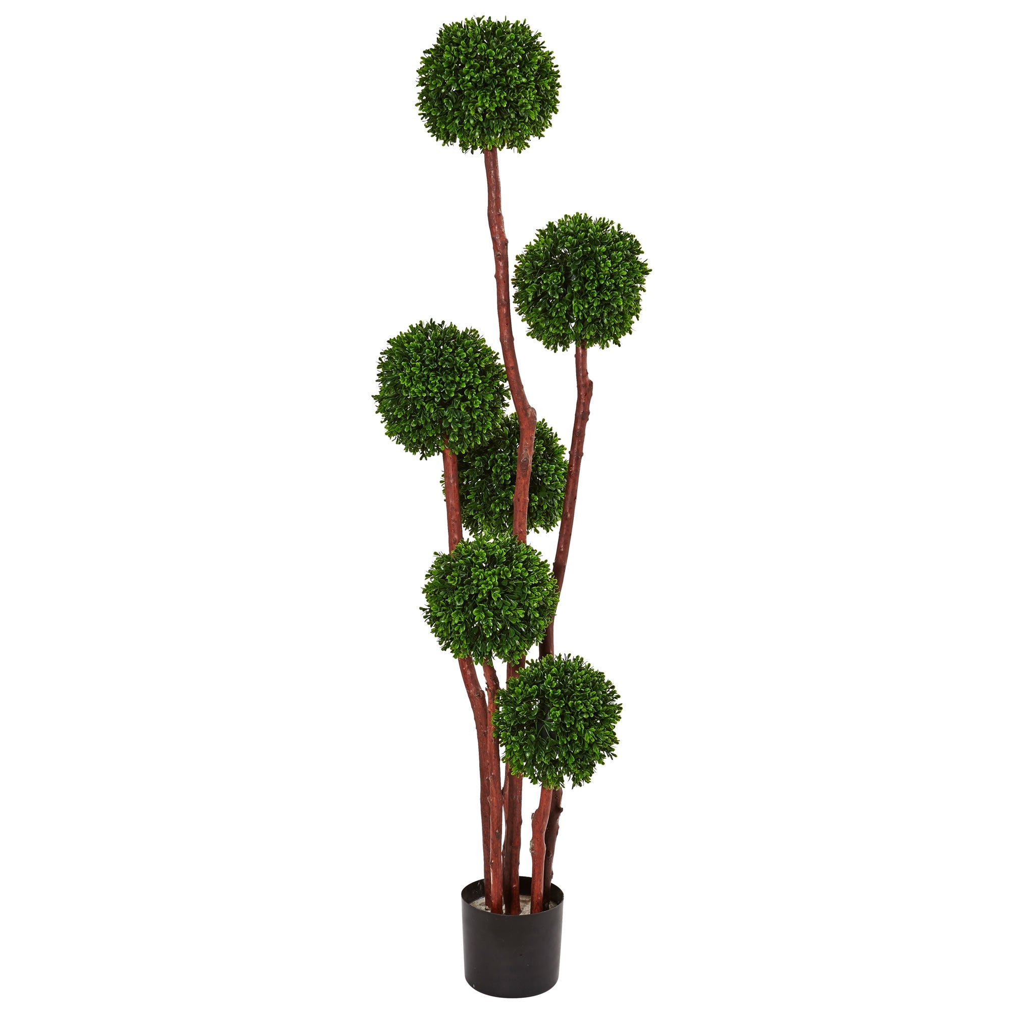 Artificial New Boxwood Indoor/Outdoor Tree | Zigeze