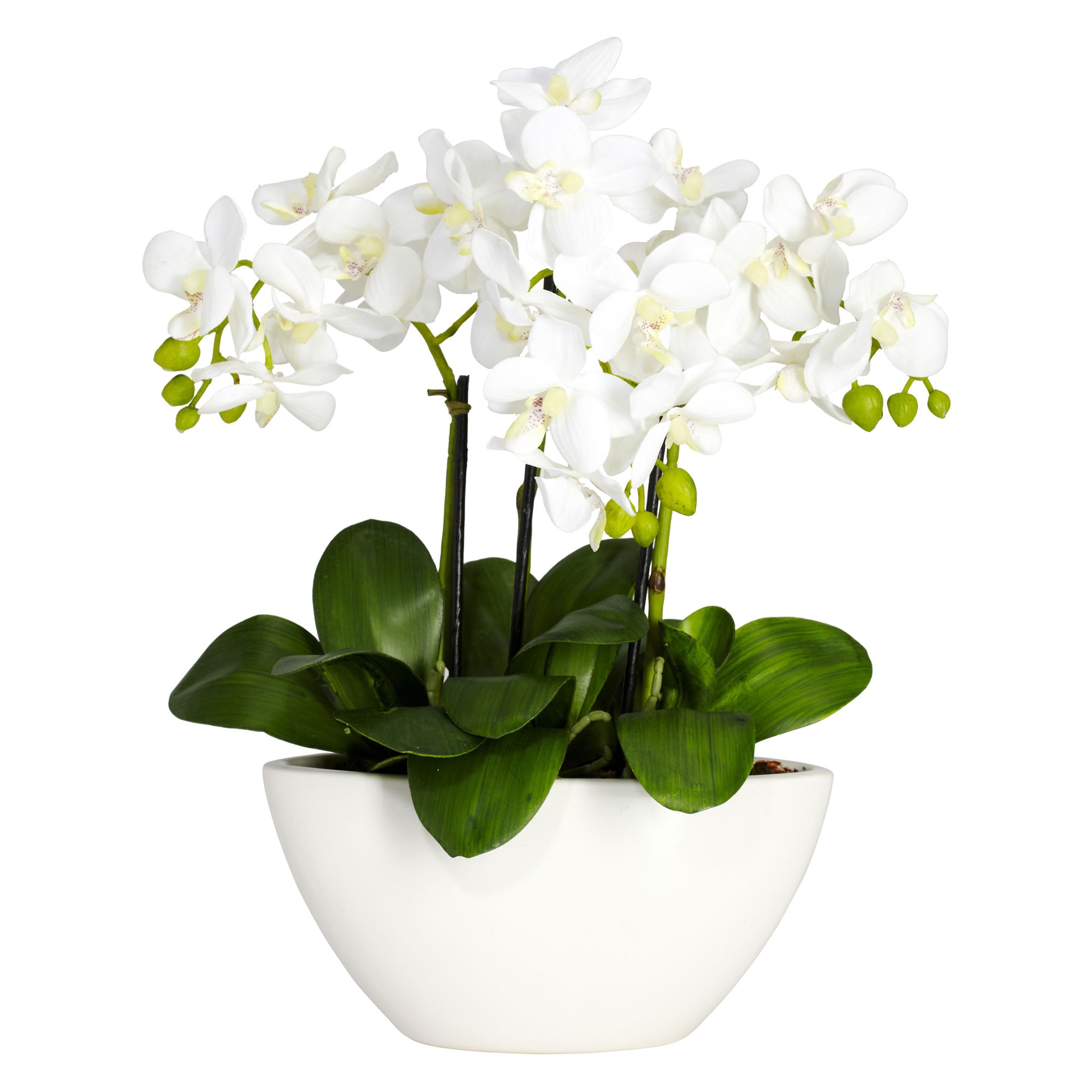 Artificial Phalaenopsis Silk Flower Arrangement | Zigeze