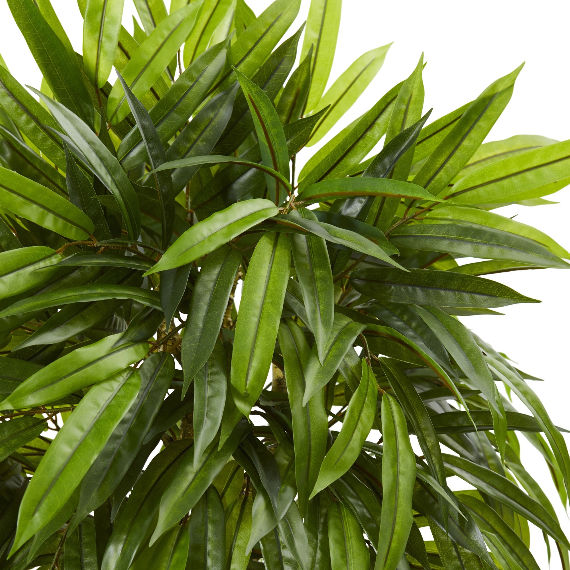 Artificial Tropical Slim Mango Silk Indoor/Outdoor Tree | Zigeze