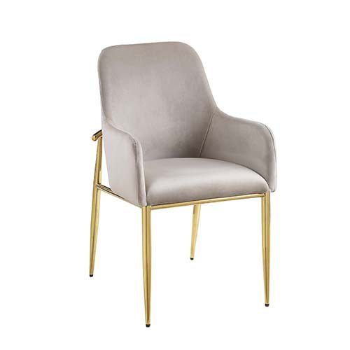 Barnard Side Chair (2Pc) | Zigeze