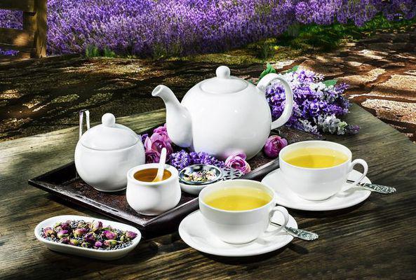 Set of 6 Tea Cups 8 Oz. | Zigeze