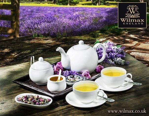 Set of 6 Tea Cups 8 Oz. | Zigeze