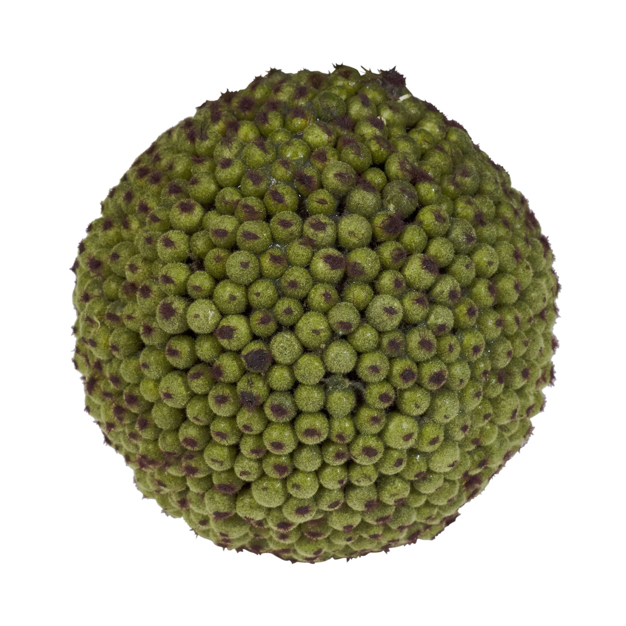 Set of Six 4 - Inch Decorative Berry Ball Accents | Zigeze